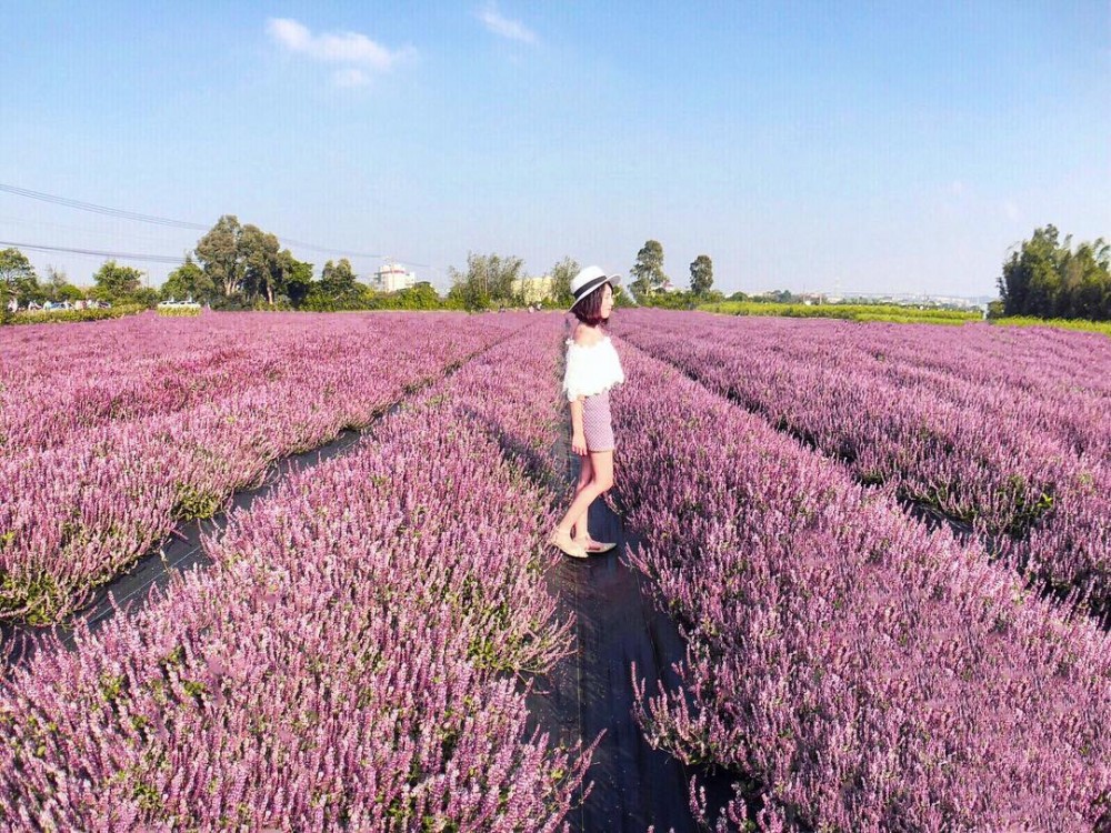 IG@jingyuy授權使用