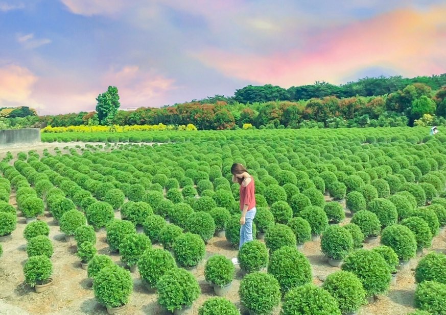 IG@wanzhen21授權使用