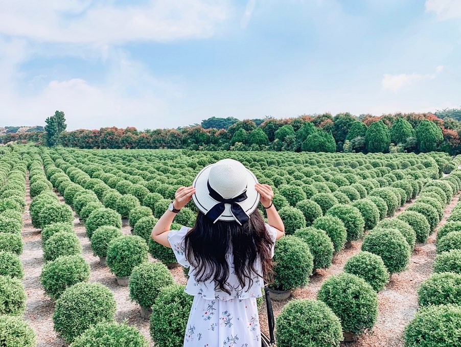 IG@aha_travel_around授權使用