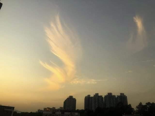 大鵬金翅鳥！火鳳凰現身香港天空吉祥之兆浴火重生香港加油