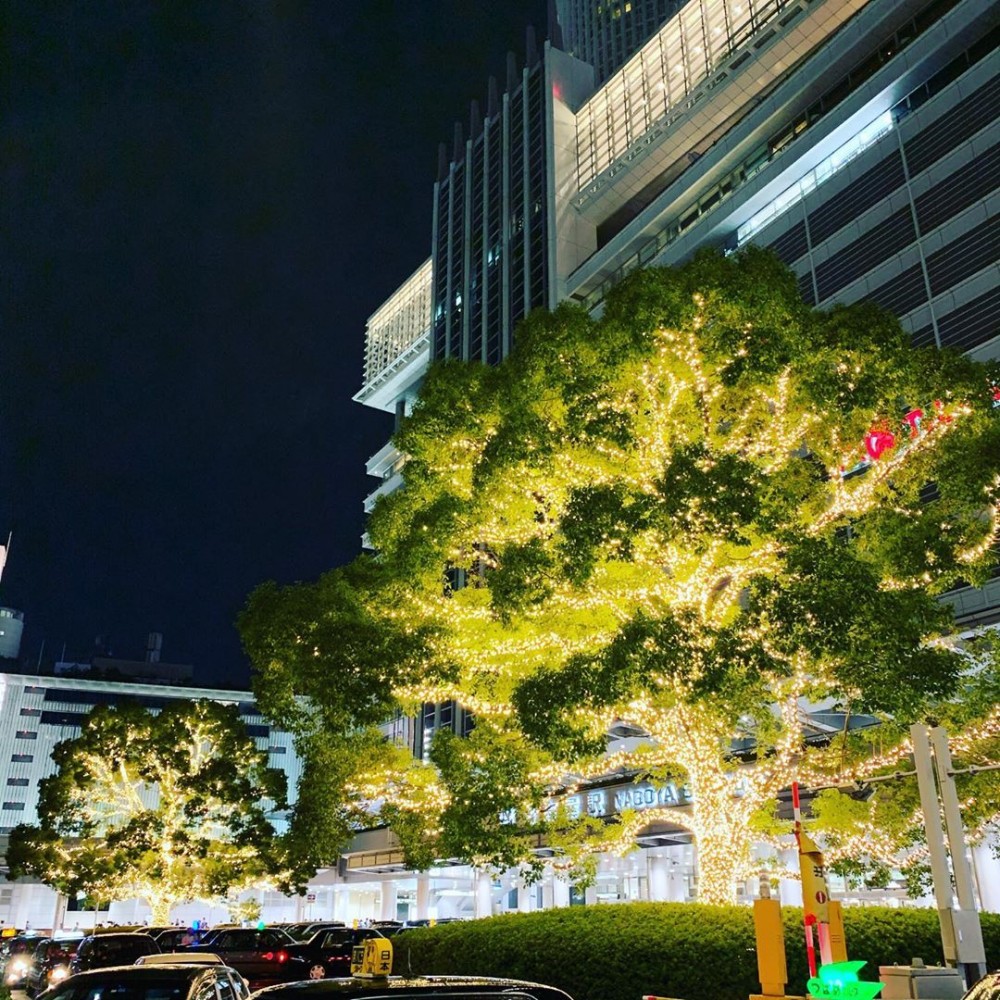 日本 名古屋 聖誕 發光西蘭花