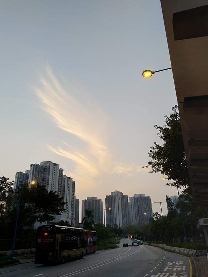 大鵬金翅鳥！火鳳凰現身香港天空吉祥之兆浴火重生香港加油