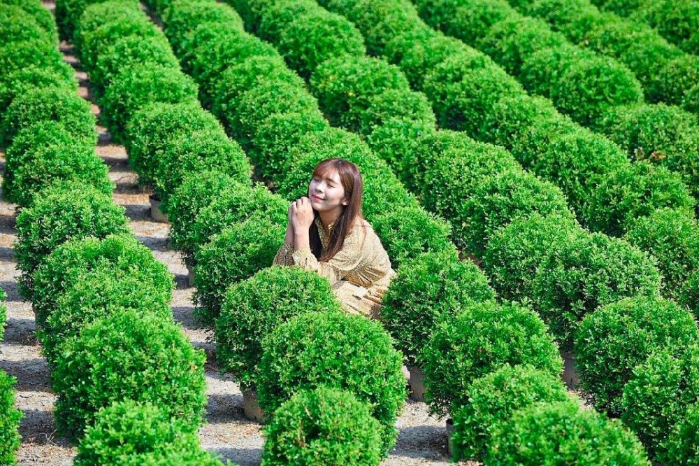 IG@ch_ih215授權使用