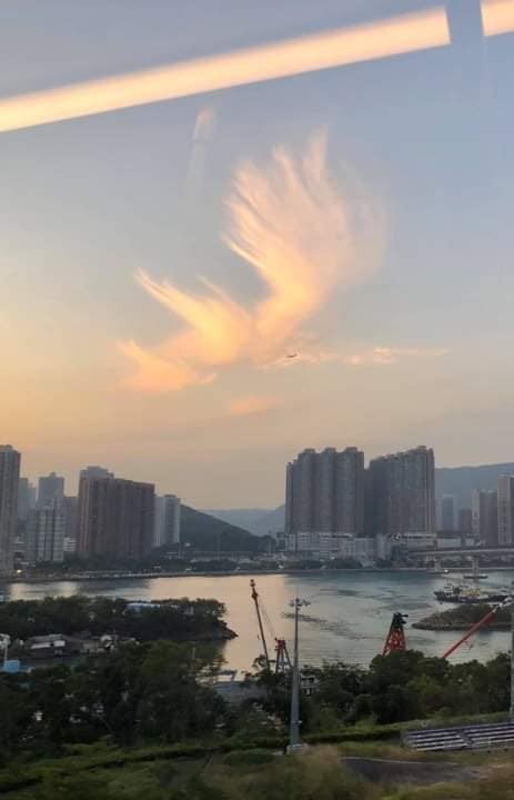 大鵬金翅鳥！火鳳凰現身香港天空吉祥之兆浴火重生香港加油