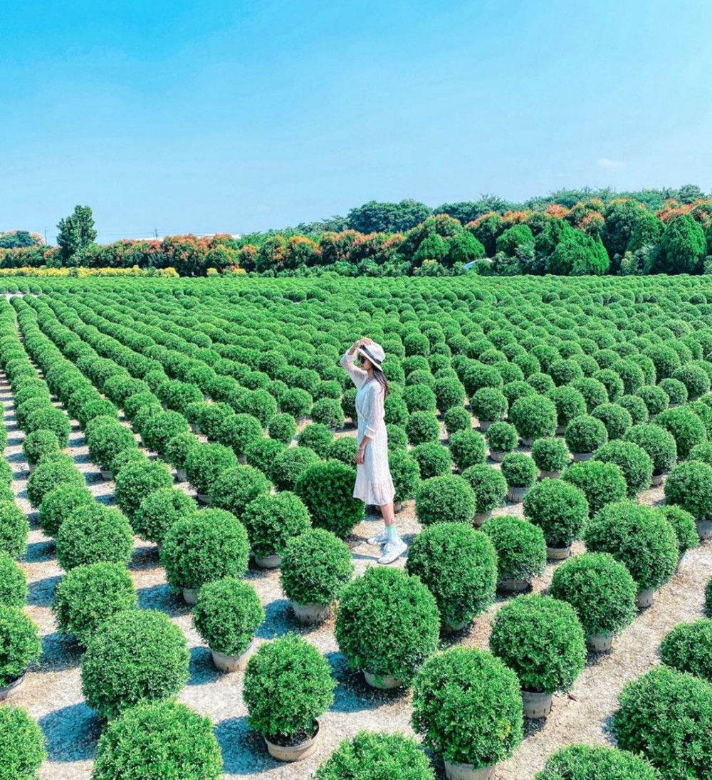 IG@pinkvv923授權使用 