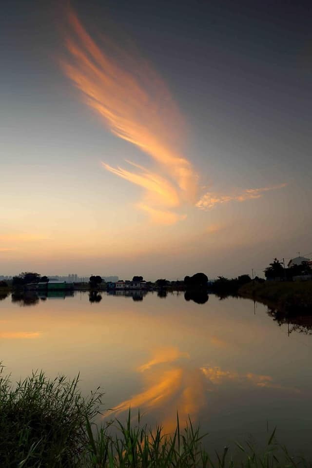 大鵬金翅鳥！火鳳凰現身香港天空吉祥之兆浴火重生香港加油