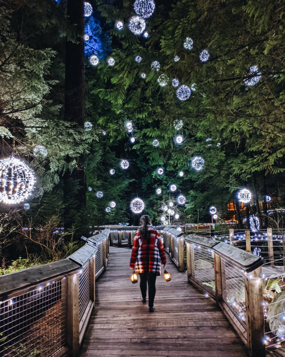 【聖誕節2019】加拿大吊橋公園聖誕亮燈 自然美景浪漫如童話秘境