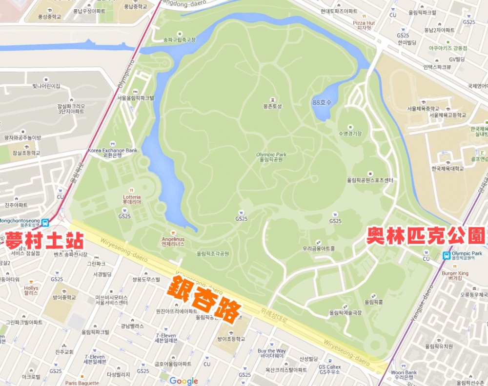 【韓國銀杏2019】奧林匹克公園秋天紅葉銀杏韓國首爾