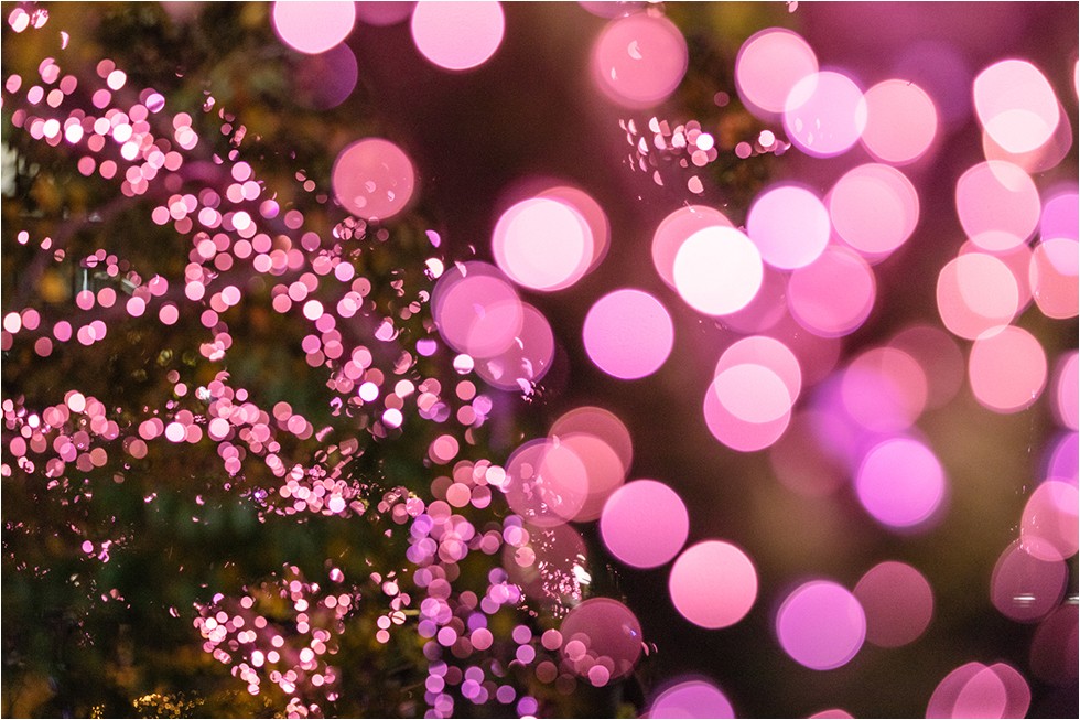 LED日本東京聖誕燈飾聖誕節夜櫻櫻花目黑川