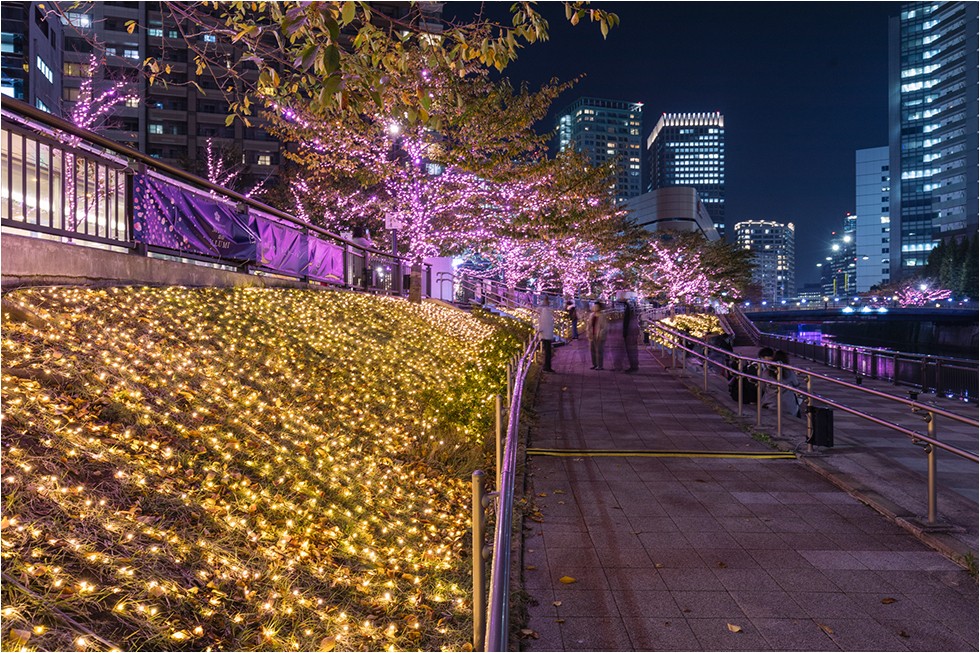 LED日本東京聖誕燈飾聖誕節夜櫻櫻花目黑川