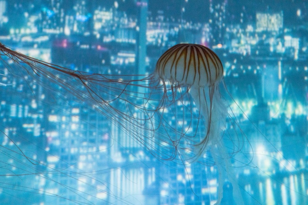 東京晴空塔水族館