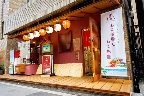 【大阪酒店】新開貓客棧 和風裝修15隻貓貓陪伴入睡 貓奴必去!