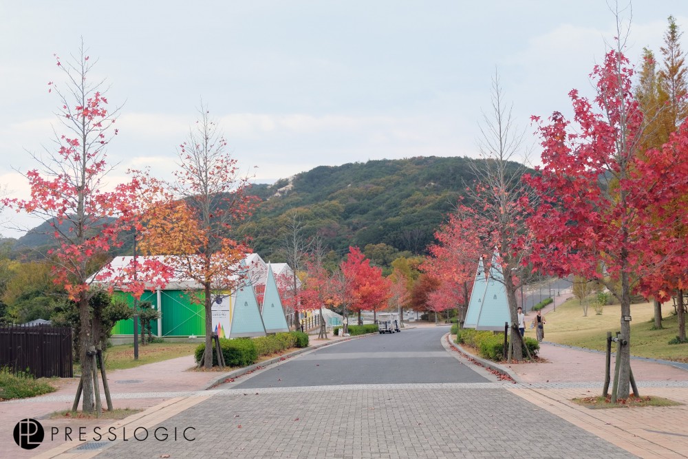 淡路島 蠟筆小新