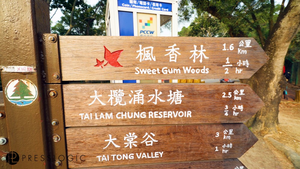 大棠 紅葉