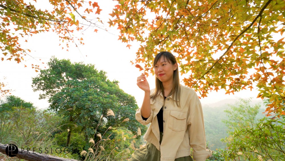 大棠 紅葉