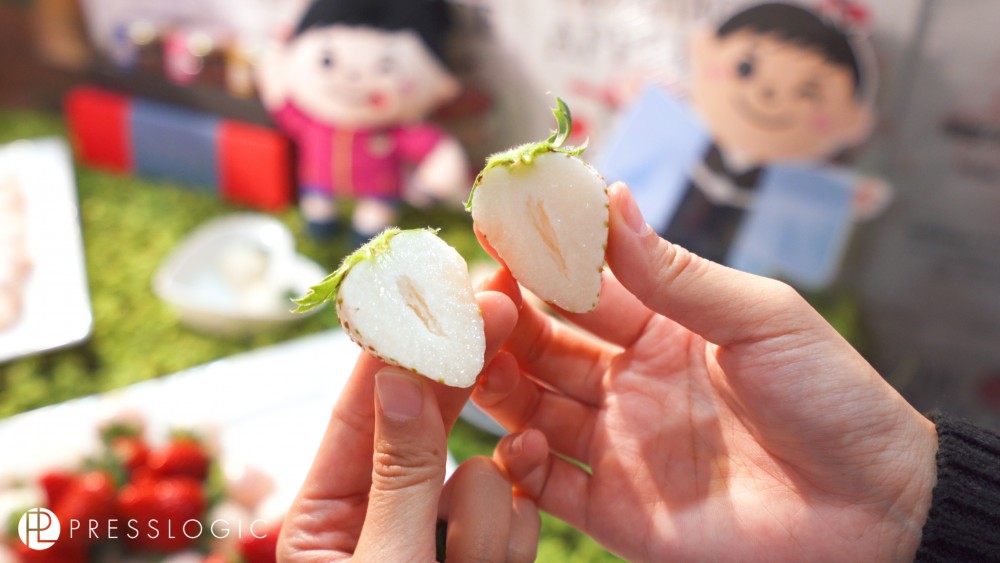 日本士多啤梨 2020 真珠姬