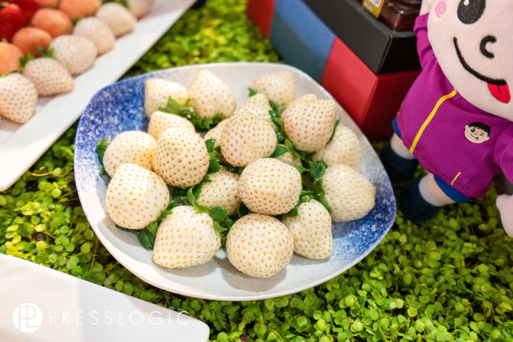 日本士多啤梨 2020 真珠姬