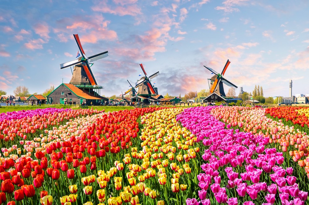 過去25年嚟一直都以「Holland」自稱,為求國名易啲辨認。