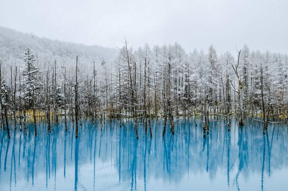 【北海道自由行】北海道冬天必去4大景點 冬季不能錯過嘅絕景!