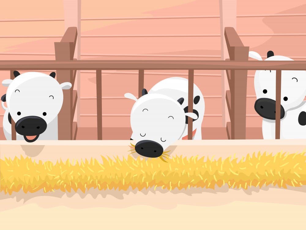 2020 12生肖 運程 麥玲玲