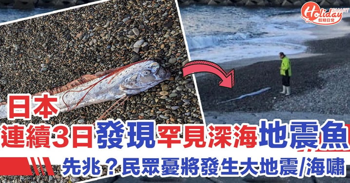 地震海嘯先兆？相隔4年再出現　日本連續3日發現3條罕見深海「地震魚」