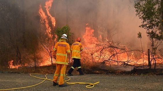 「Australia Wildfire Fund」項目,投資$300百萬美元(約港幣$2300萬),用於協助新南威爾士州進行消防工作
