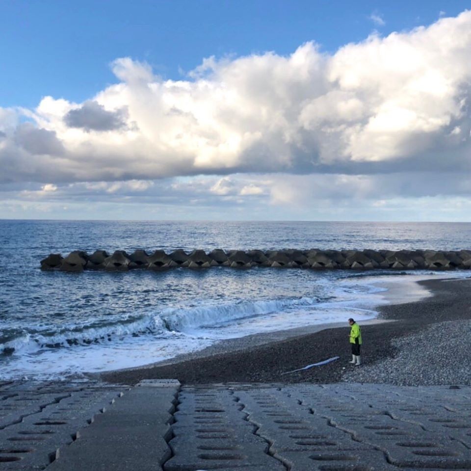 日本 地震 海嘯 先兆 深海 魚