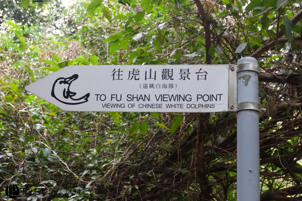 山徑兩邊都被大海包圍,不但可看到大澳市景色,亦可遠望港珠澳大橋。