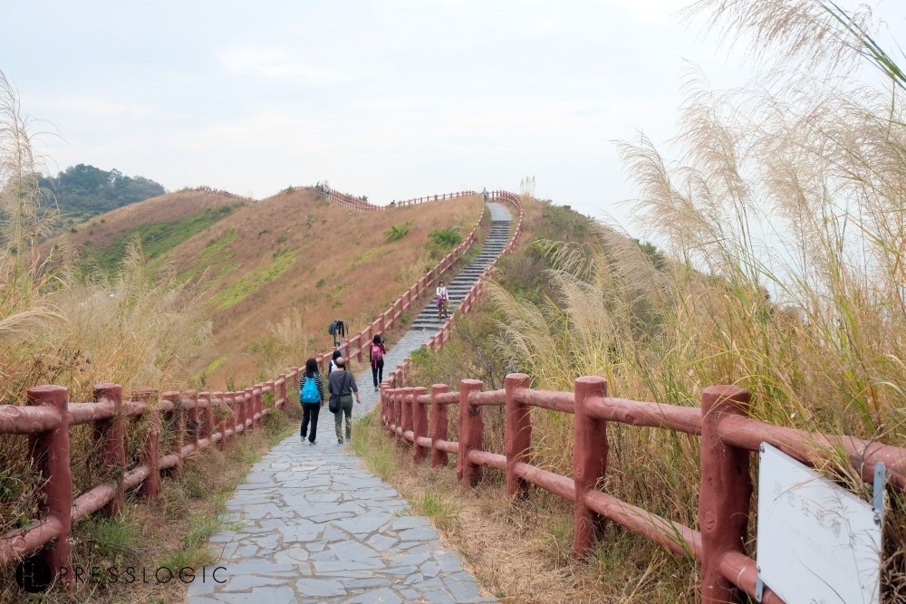路程既不遠也不陡峭,適合一家大細郊遊樂。