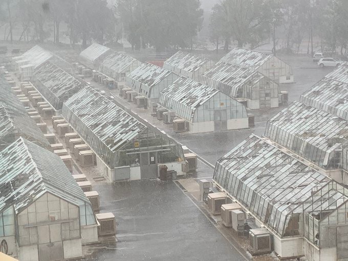 澳洲 坎培拉 冰雹 天災