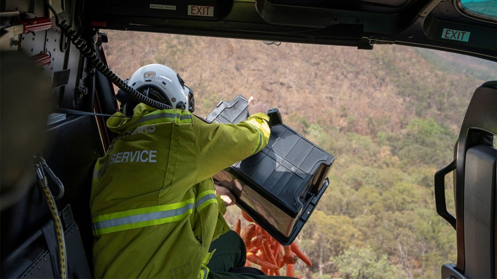 以直升機空投嘅方式為野生動物提供食物。