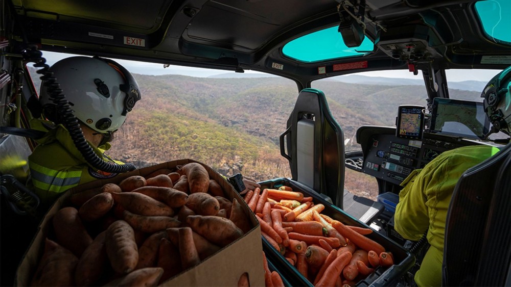 新南威爾士州，政府決定向災區分發數千磅蔬菜