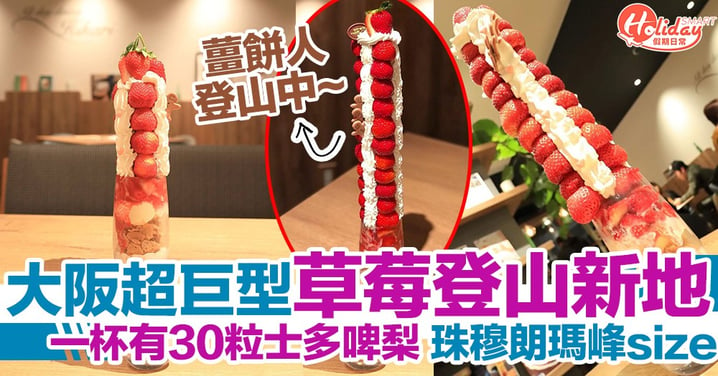 超震撼必打卡！日本甜品店「士多啤梨登山新地」足足用咗30粒士多啤梨！