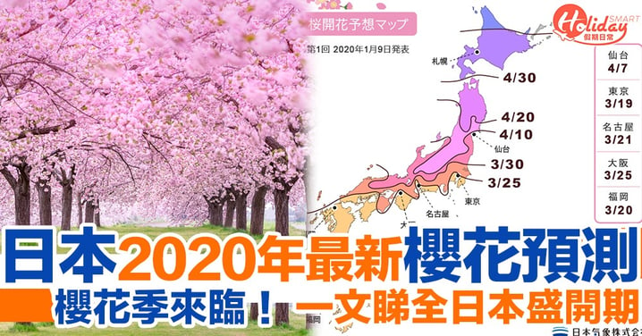 櫻花季來臨！2020日本櫻花第一輪預測 東京最早3月開花！