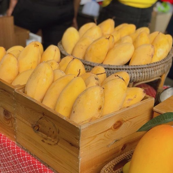 mangomania_thailand @IG