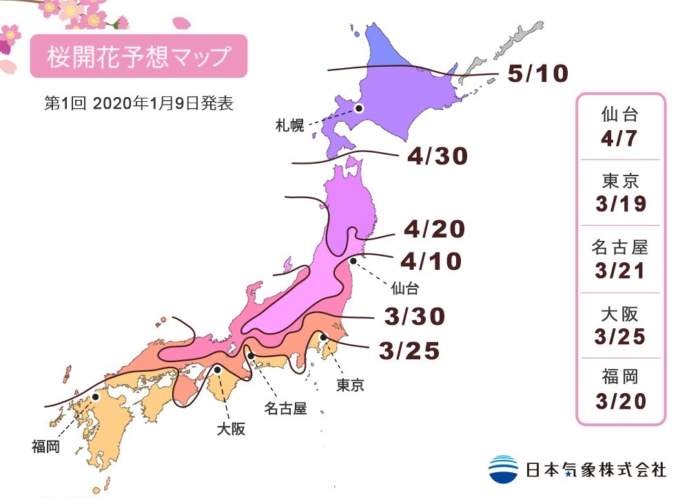日本氣象株式會社發布咗2020年第1個預測櫻花開花到盛開嘅日期。