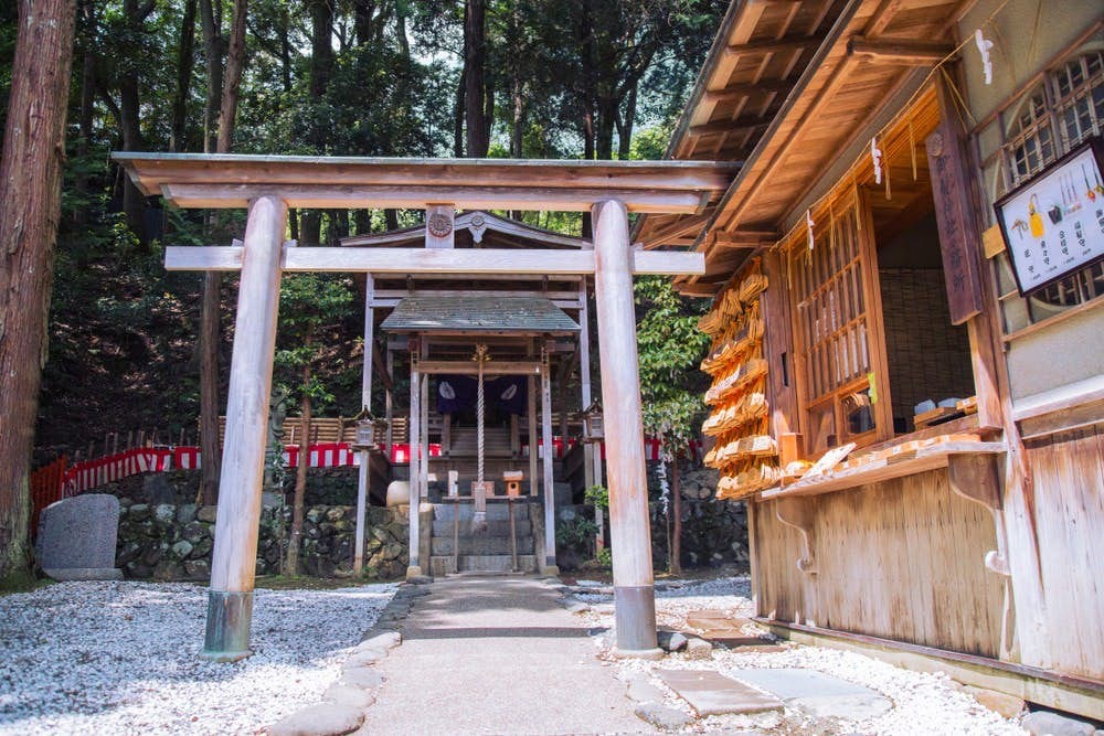 香港人工作同生活壓力大，導致頭髮都有健康問題。