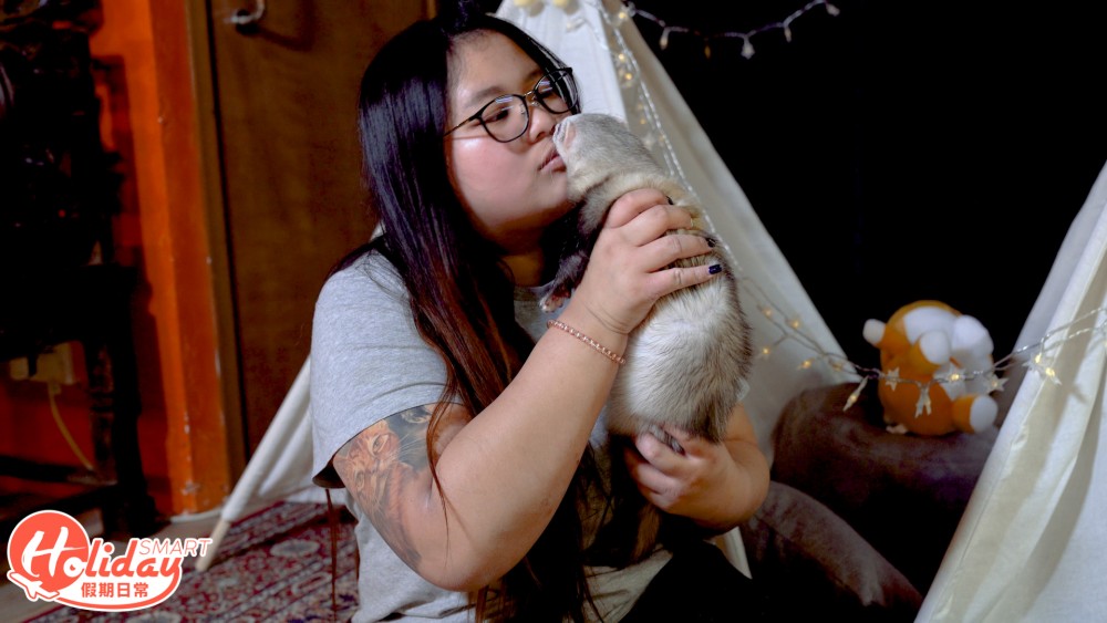 香港另類寵物雪貂！
