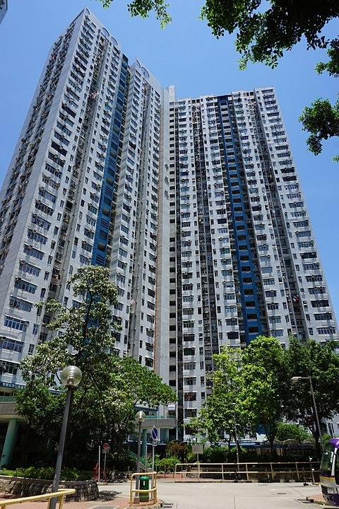 琴日新增一宗確診感染個案，而呢位確診者同第12宗武漢肺炎確診個案一樣住喺青衣長康邨康美樓。