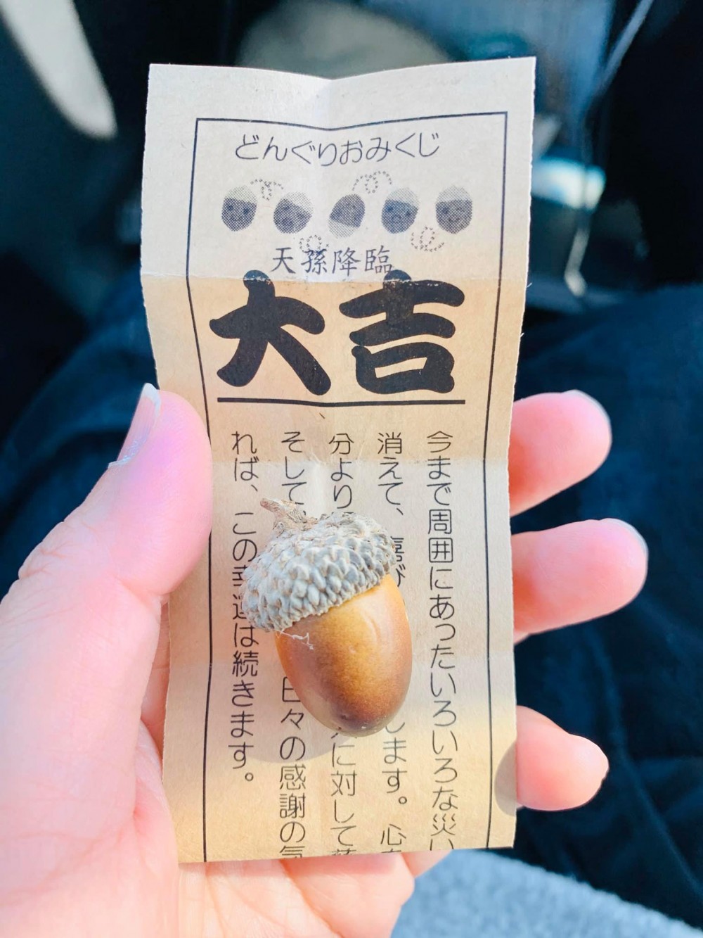 宮崎縣高原町 龍貓