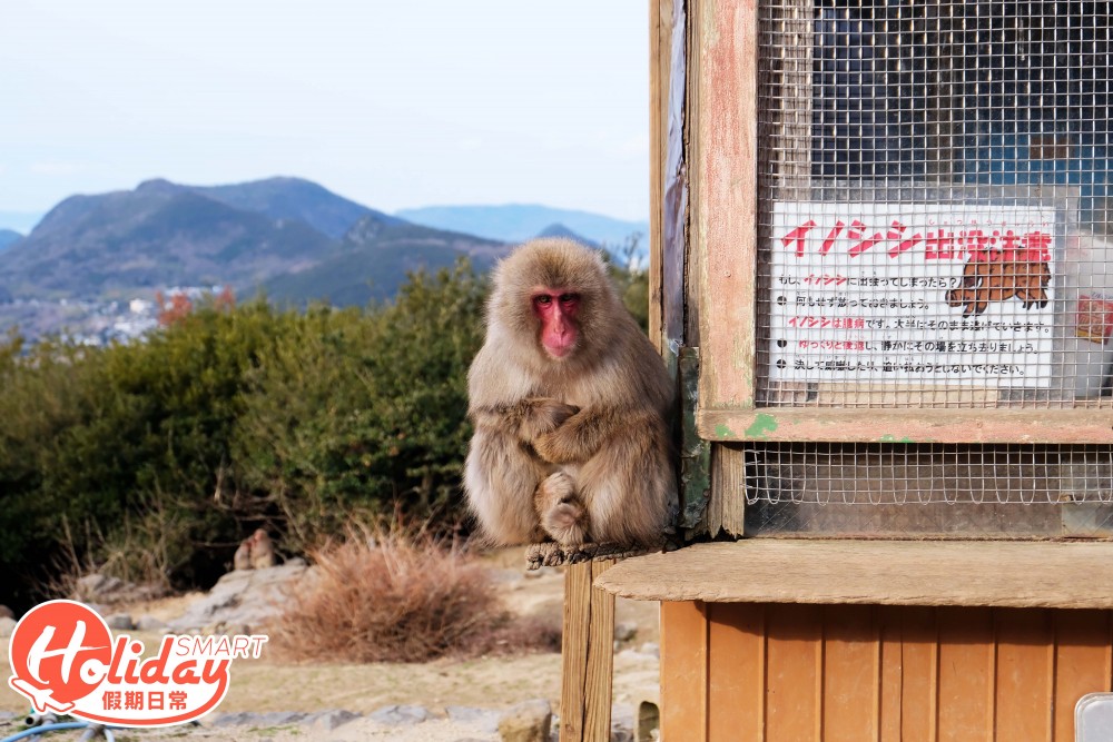 小豆島 銚子溪