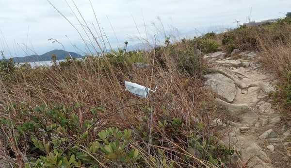 無公德心嘅行山人士甚至仲隨處掉口罩