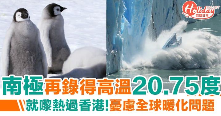 【南極高溫】南極再錄得破紀錄高溫 高達20度！全球暖化問題加劇！