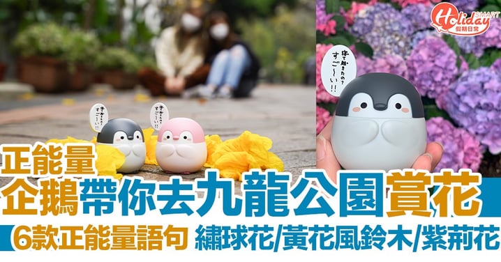 【最新扭蛋】正能量企鵝帶你遊九龍公園 春日賞花打卡好寫意