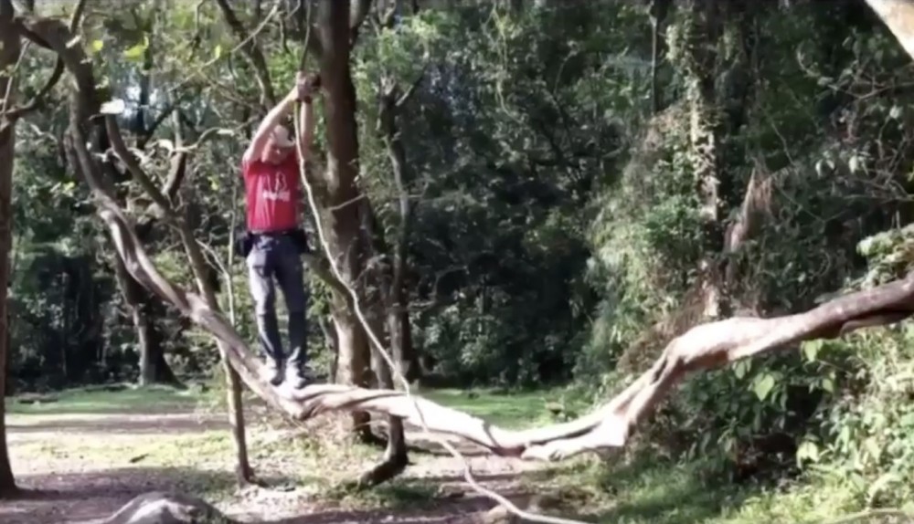 螢幕截圖 2020-03-31 下午2.33.11