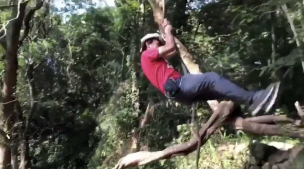 螢幕截圖 2020-03-31 下午2.33.48