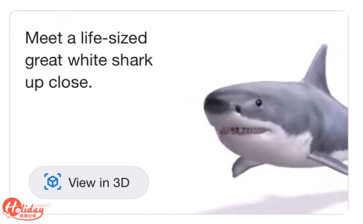 螢幕截圖 2020-03-31 下午7.16.21