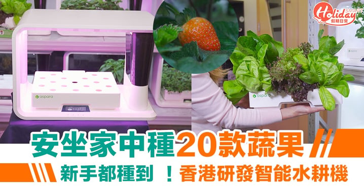 安坐家中種20款蔬果！新手都種到  香港研發智能水耕機