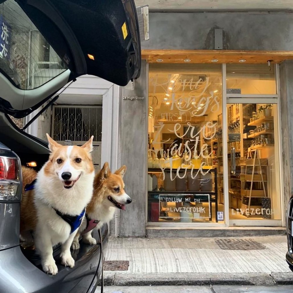 48403483_2110619292328513_8093362769727848448_o