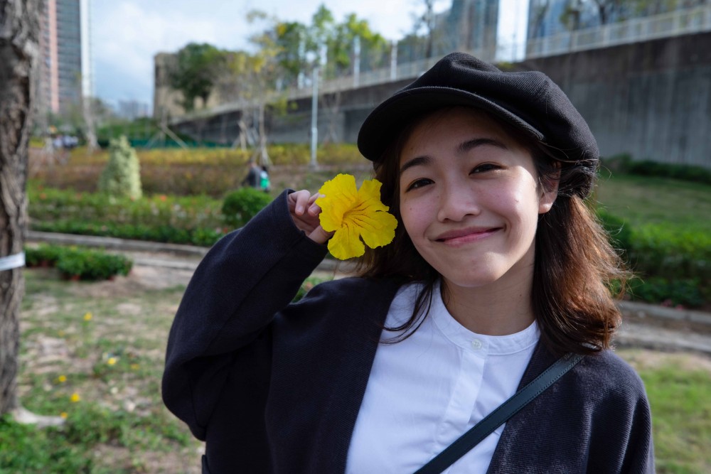 【賞花地點】南昌公園黃花風鈴木開花！